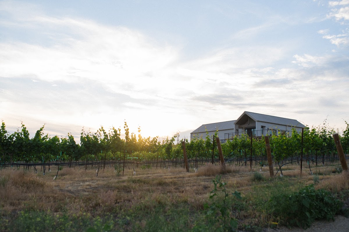 3100 Cellars