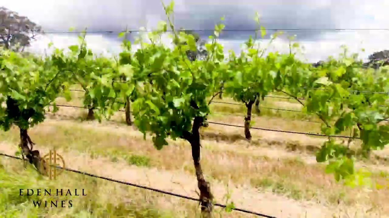Eden Hall Wines