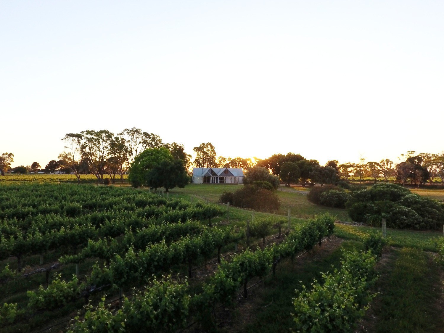 Whistle Post Wines