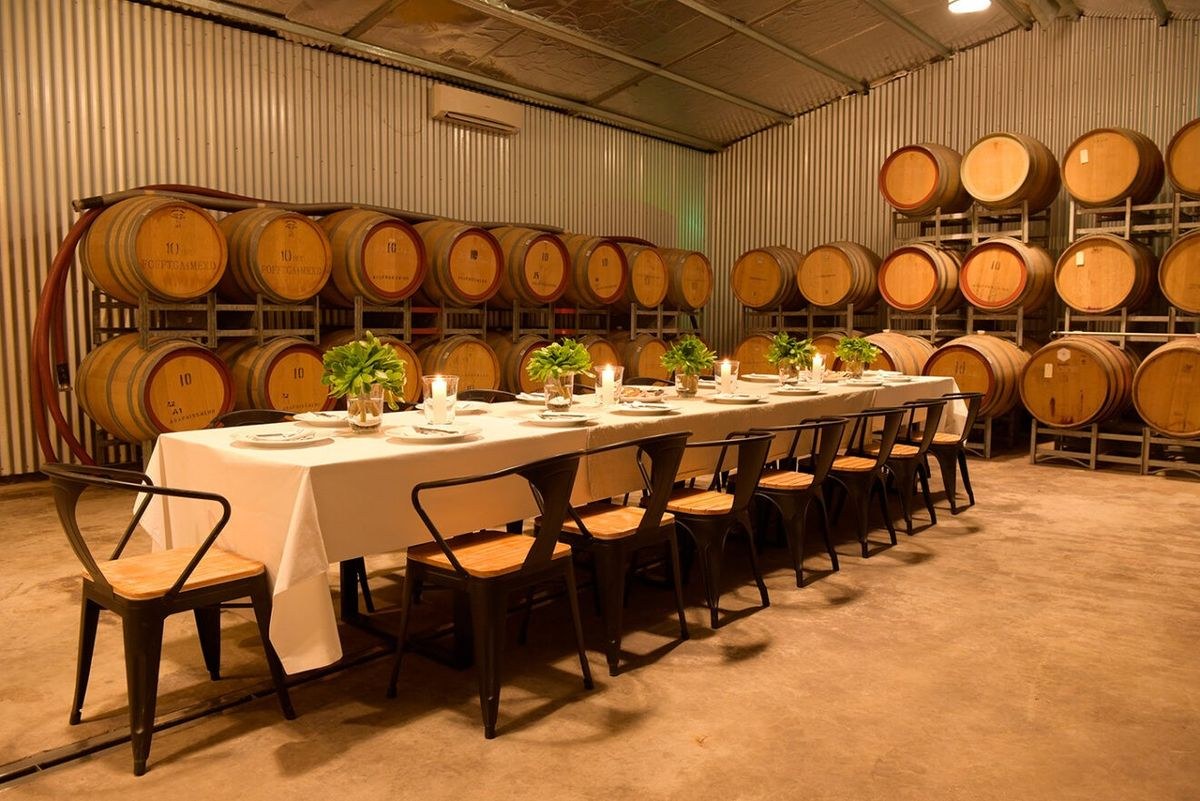 All Around the Vines
