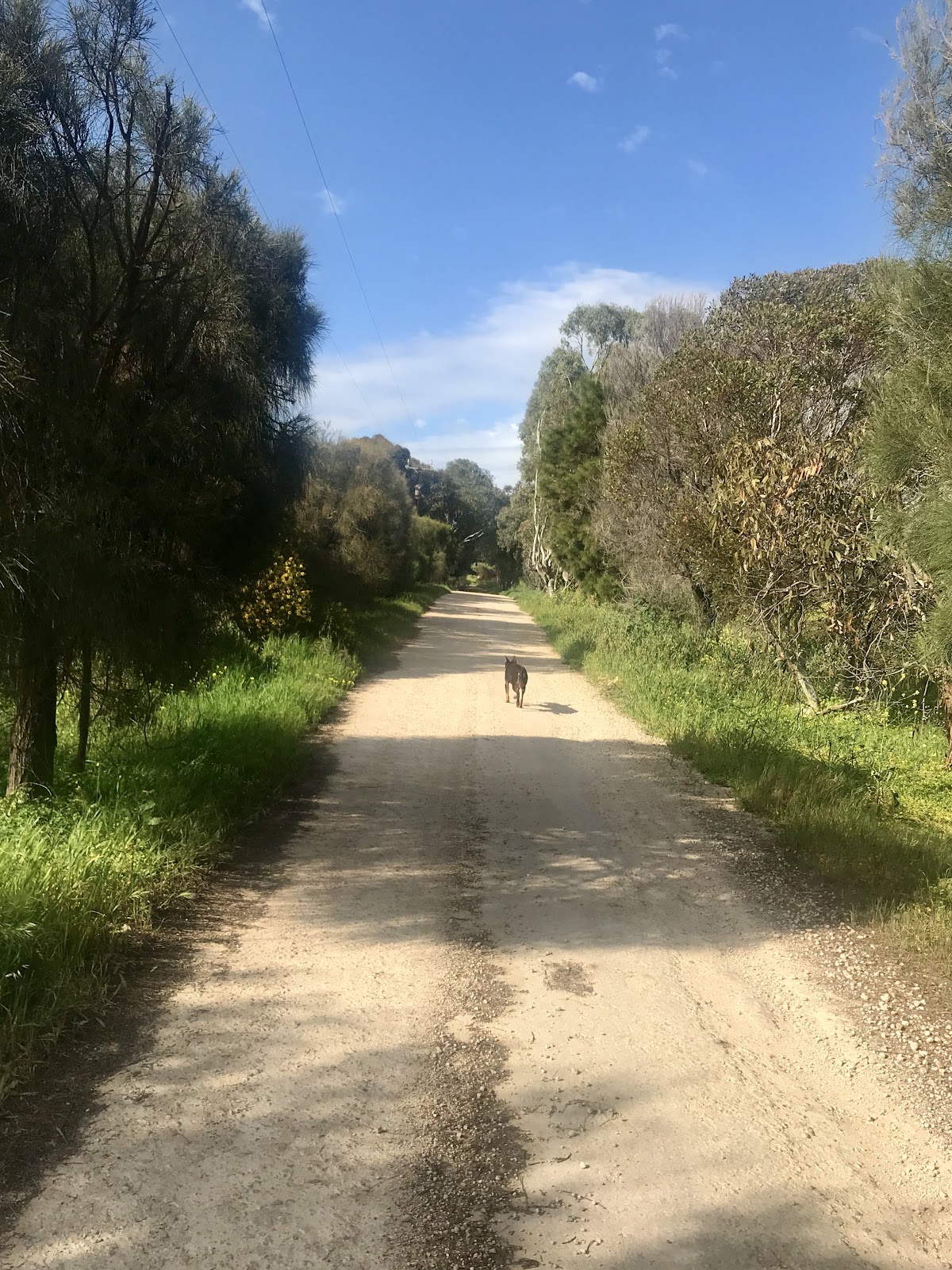 Culley Road Wines