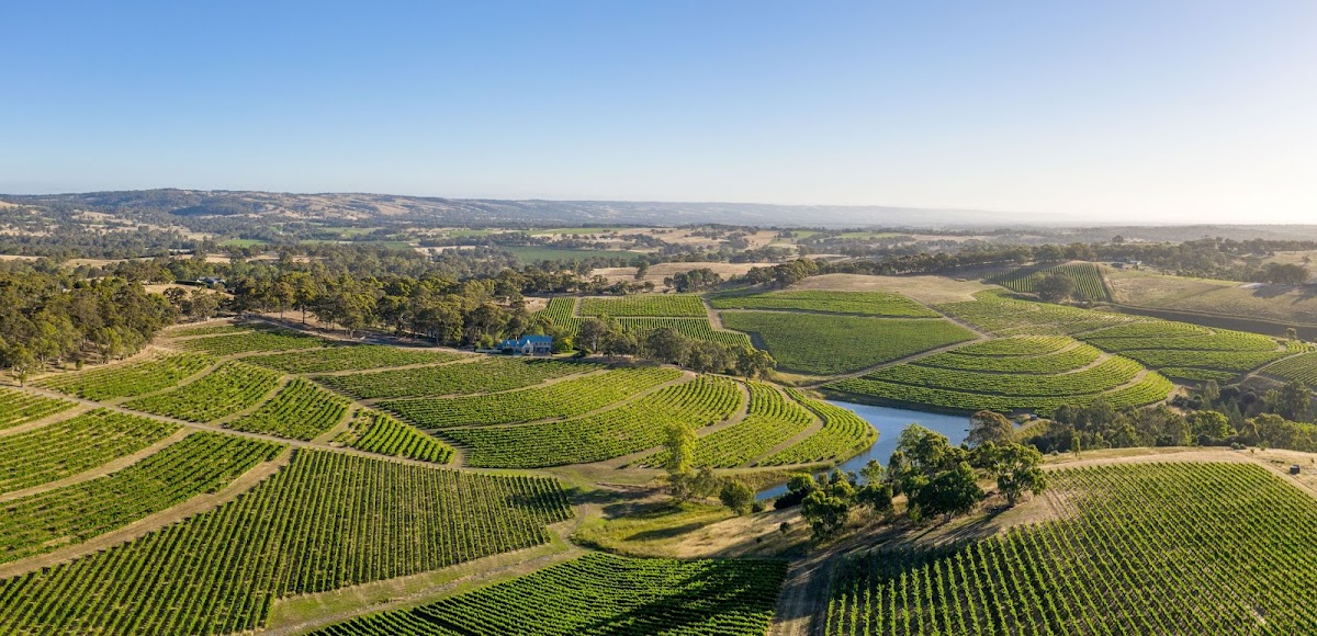 Hickinbotham Clarendon Vineyard