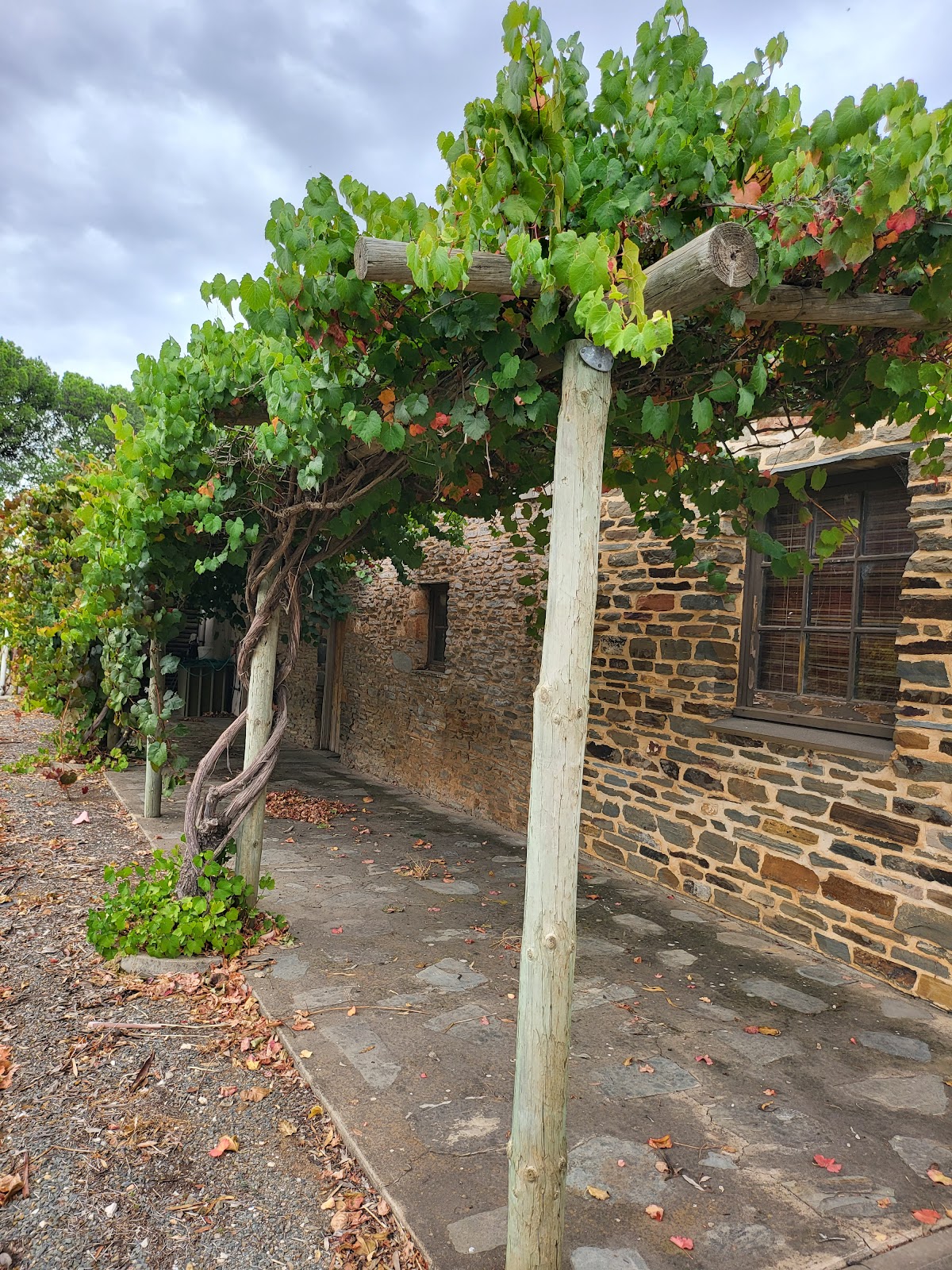 Macaw Creek Wines