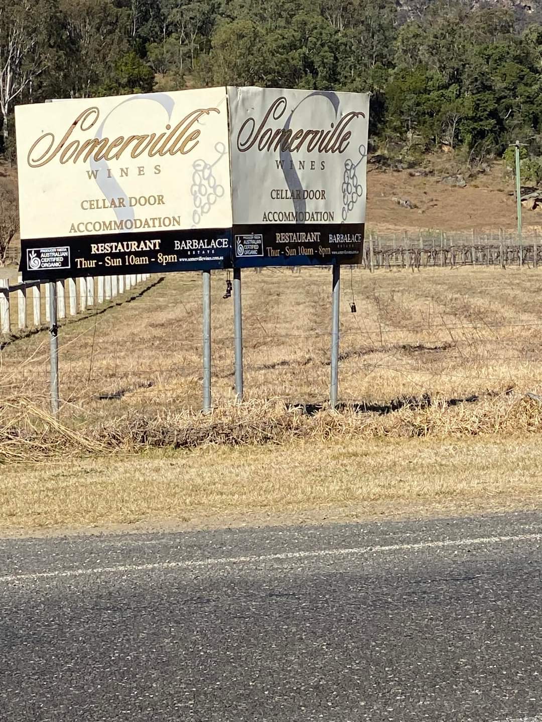Somerville Wines & Restaurant