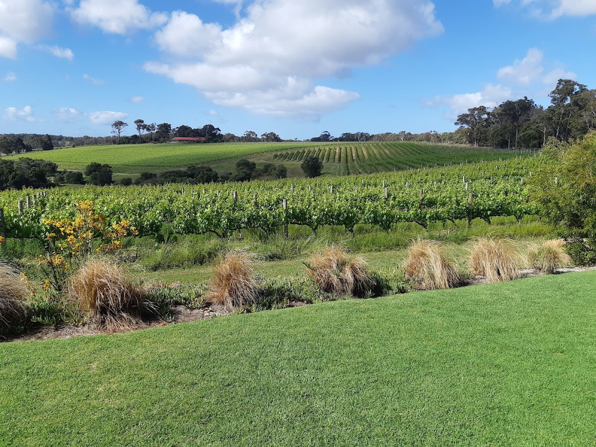 Wills Domain