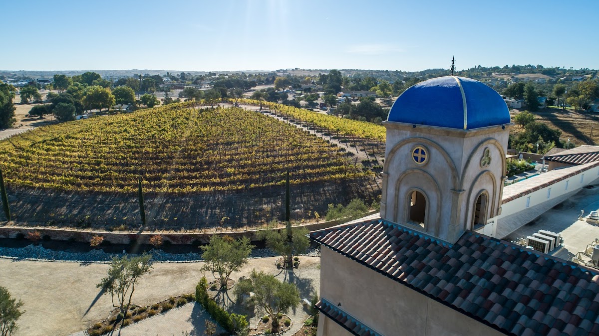 Allegretto Wines