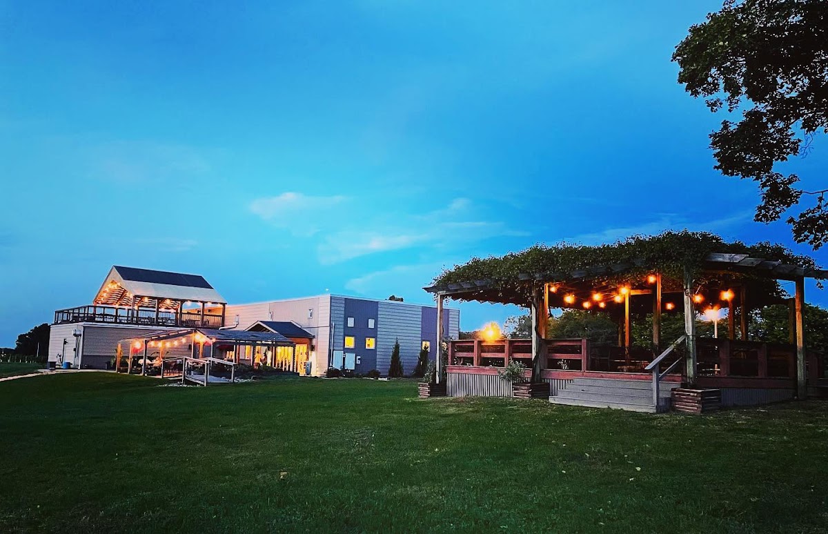 Alto Vineyards