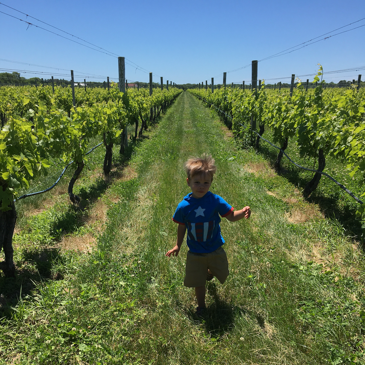 Anthony Nappa Wines