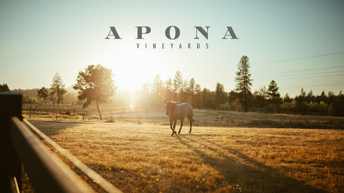 Apona Vineyard
