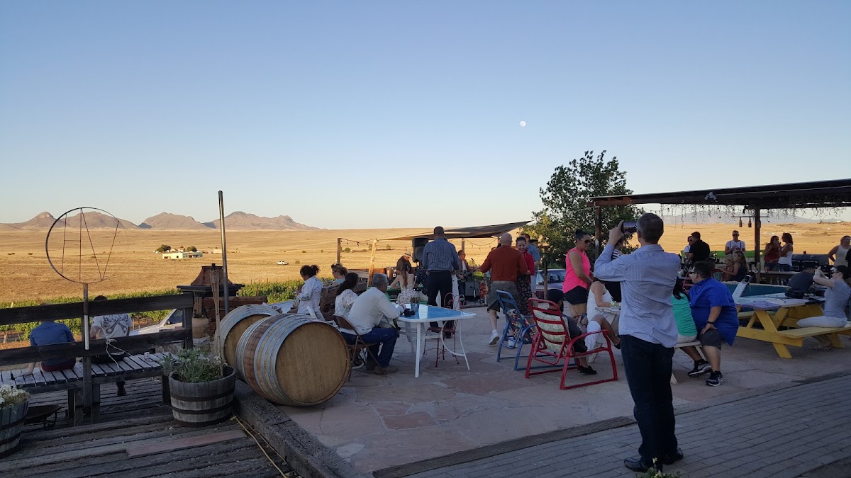 Arizona Hops and Vines