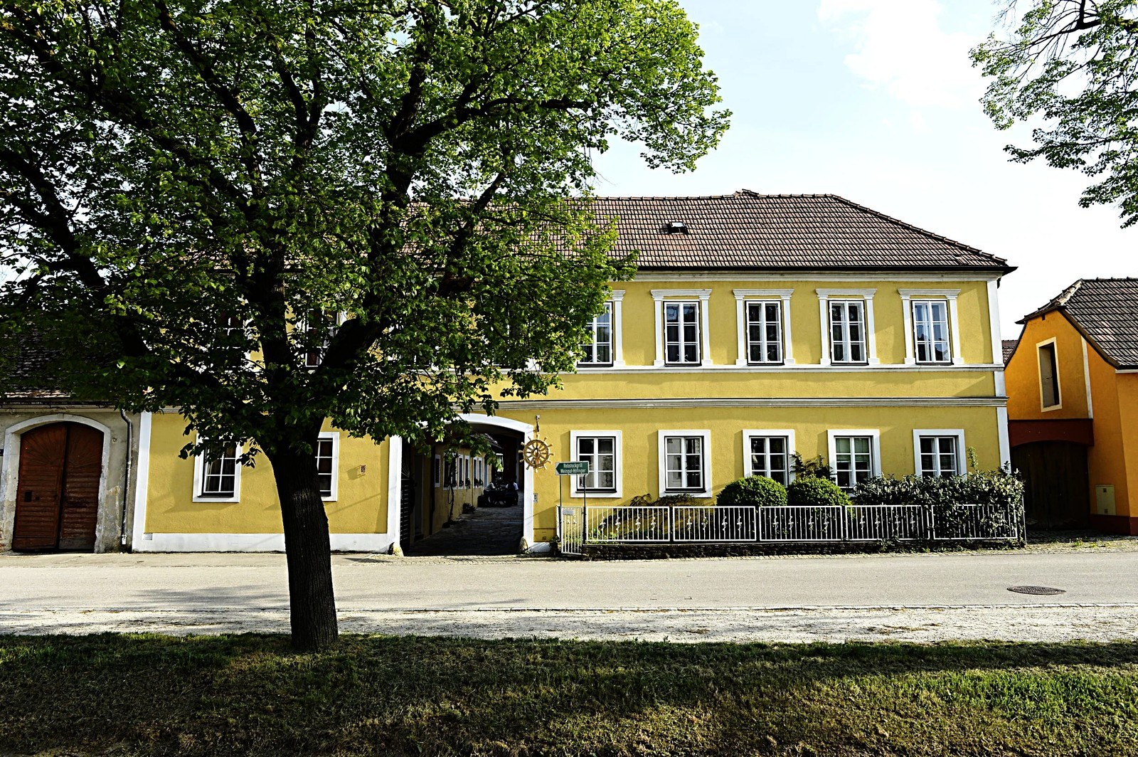 Höfinger Johanna
