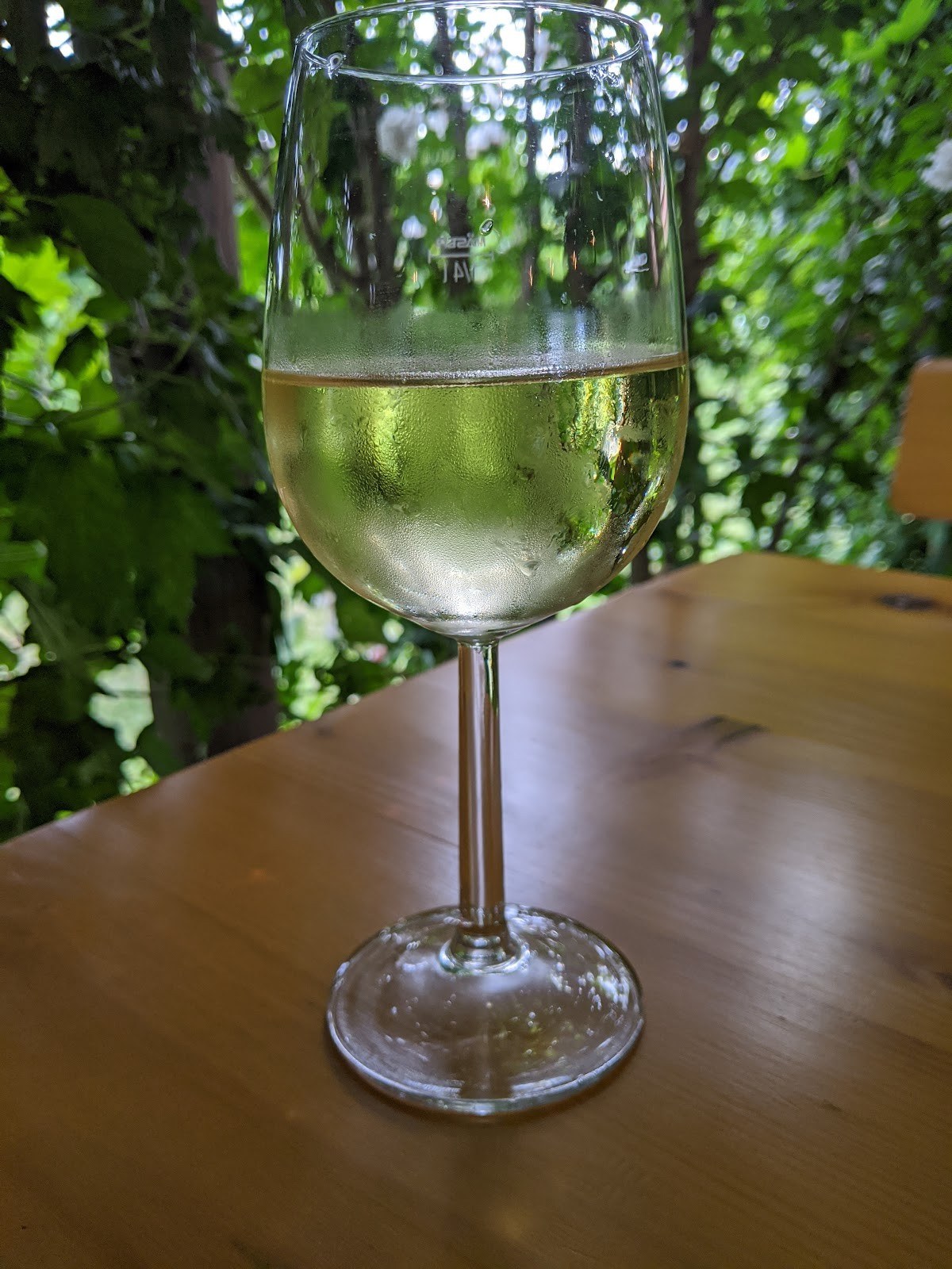 Schoissengeyer