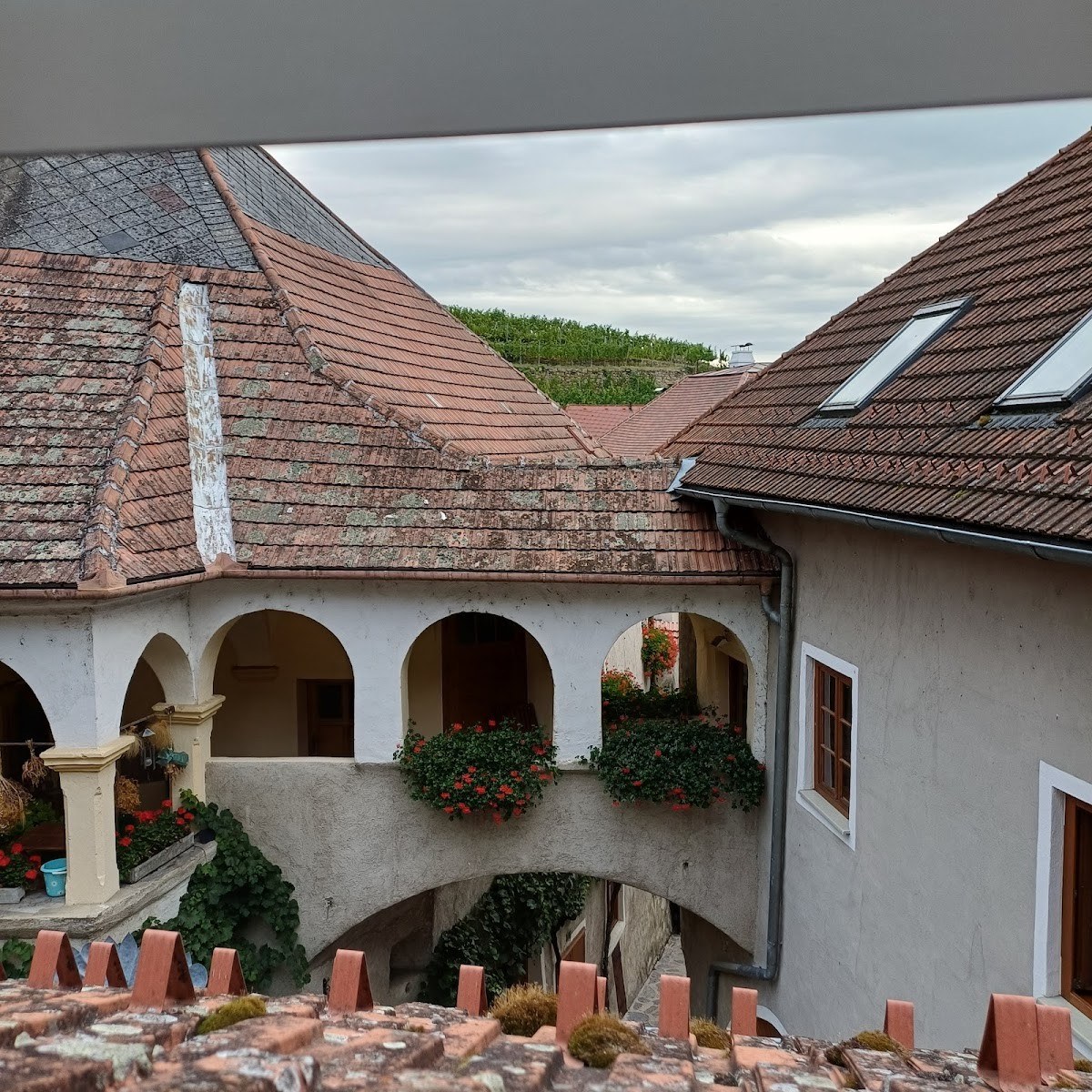 Manghof