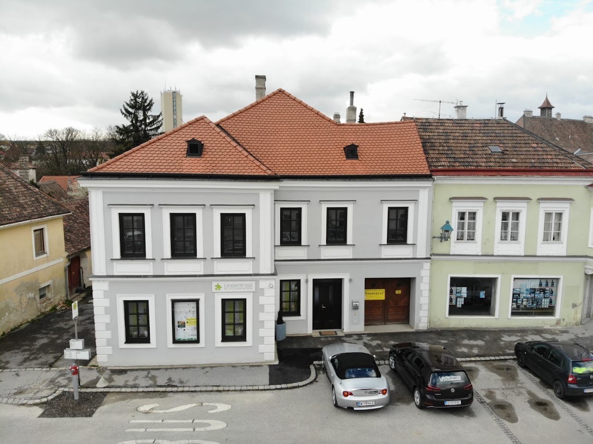 Leidenfrost