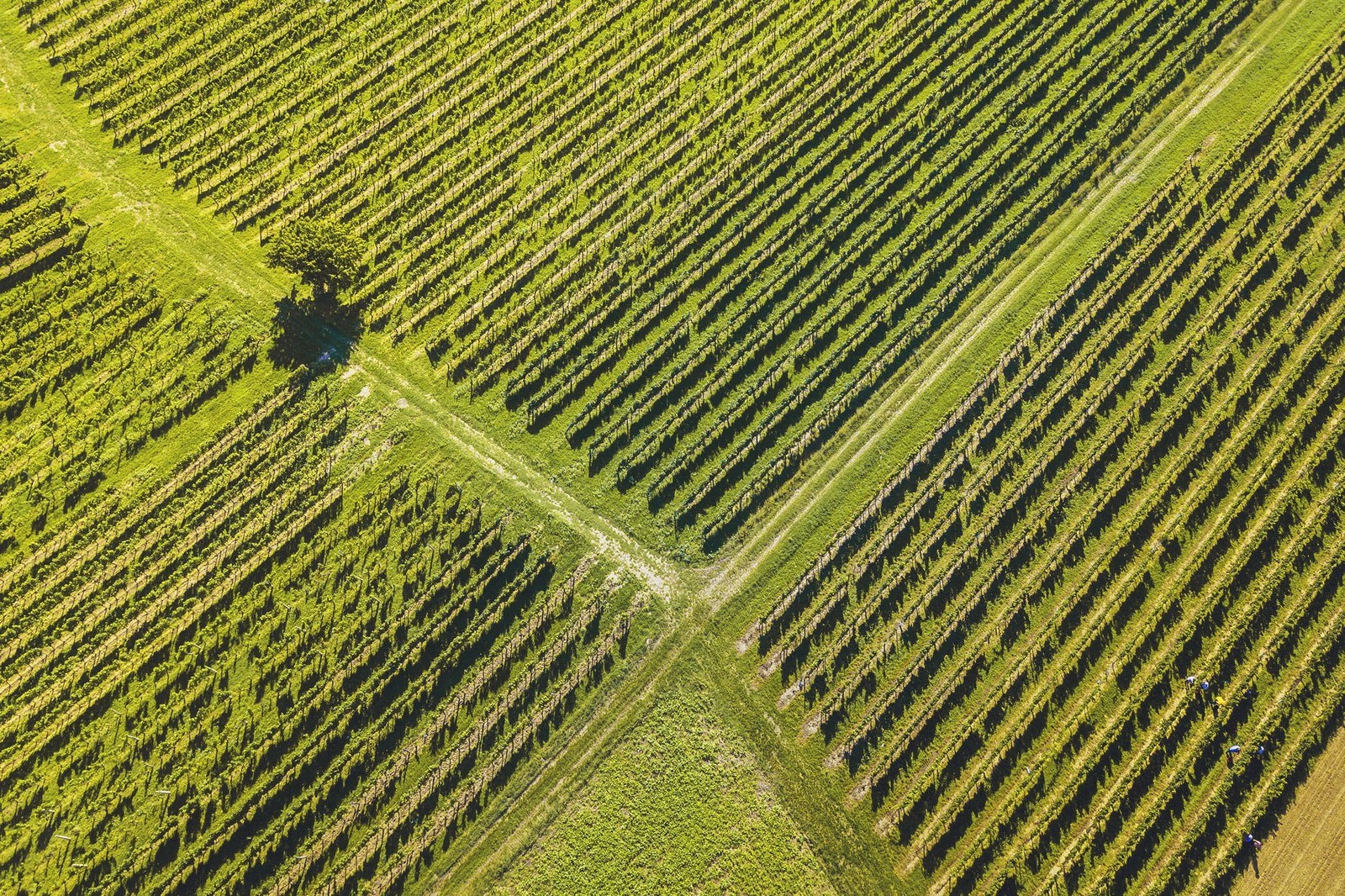 Weinhäusel