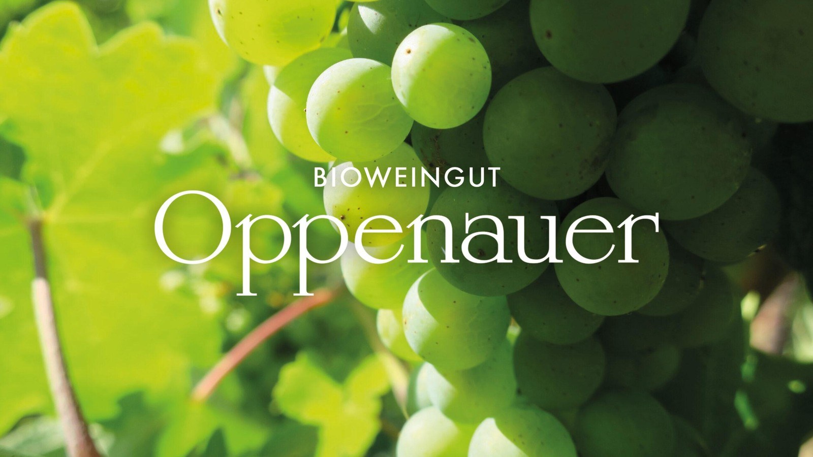 Bioweingut Oppenauer