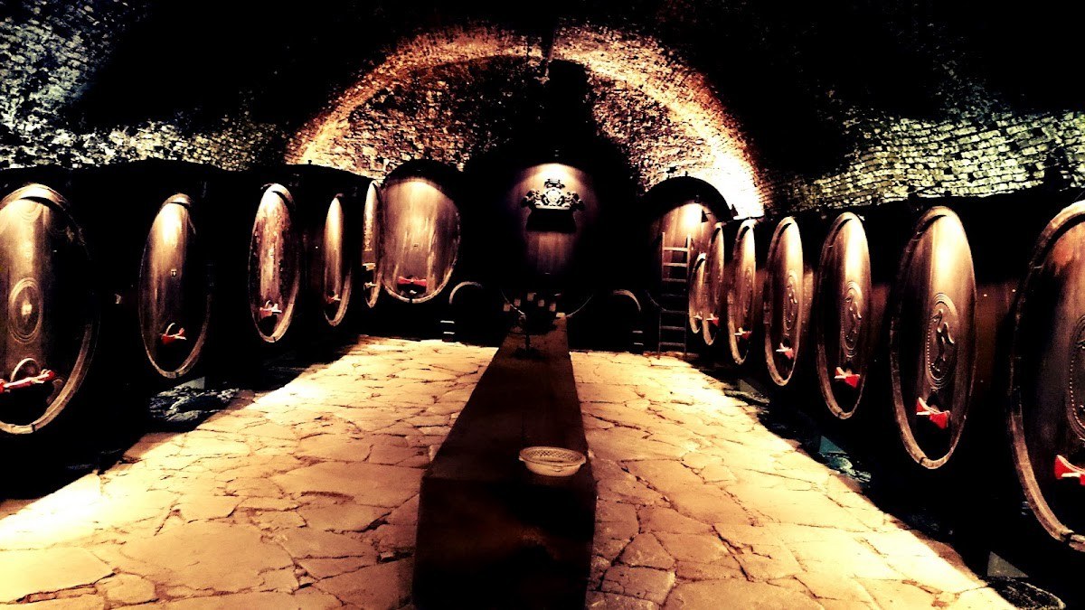 Gräflich Stürgkh'sches Weingut