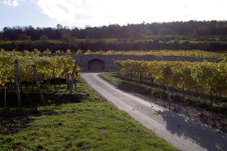 Propstei Weingut Wachau