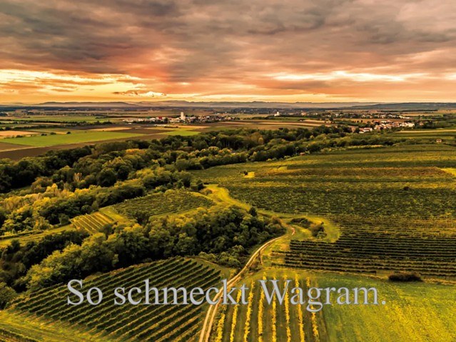 Ecker - Eckhof