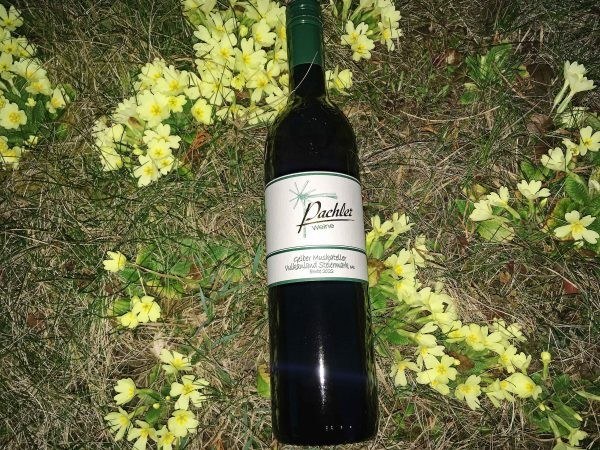 Pachler