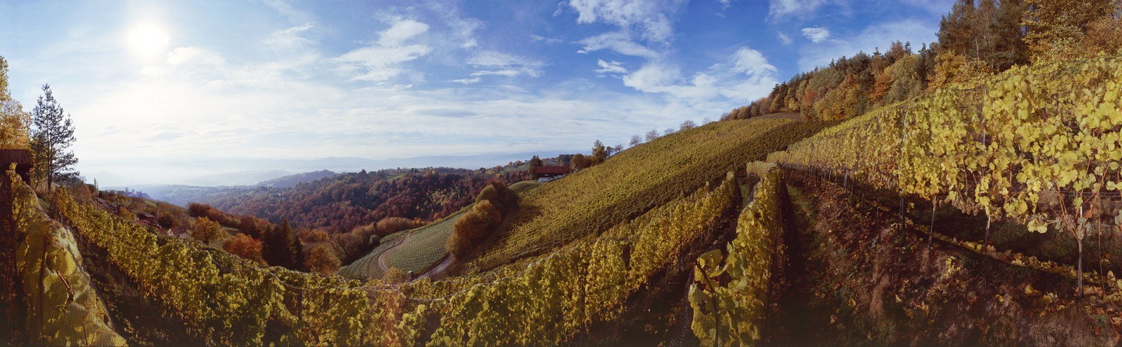 Felberjörgl