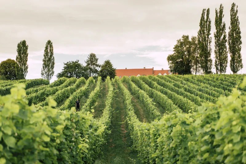 Herrenhof Lamprecht