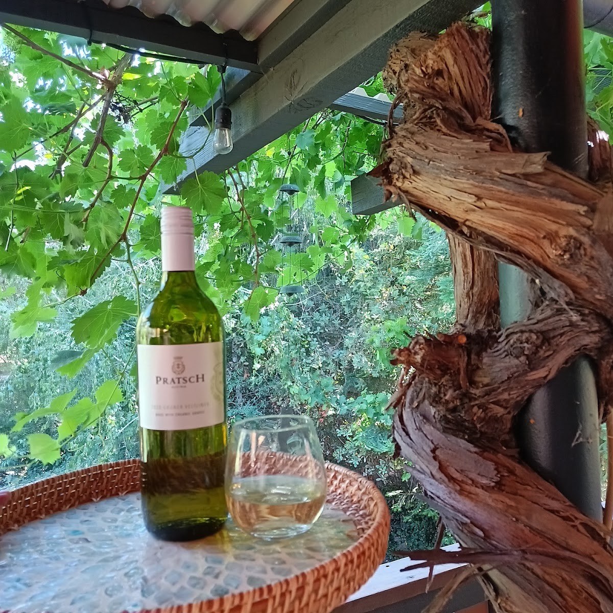 Wine by S. Pratsch