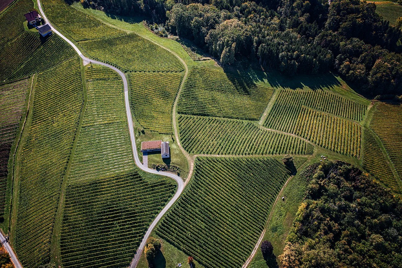 Lackner-Tinnacher