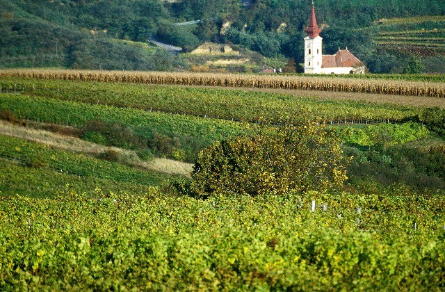 Wein- & Obsthof Schneider
