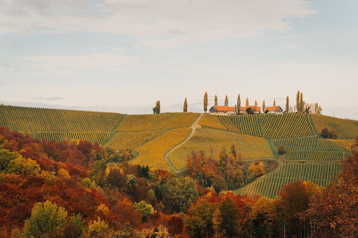 Domaine Wolf