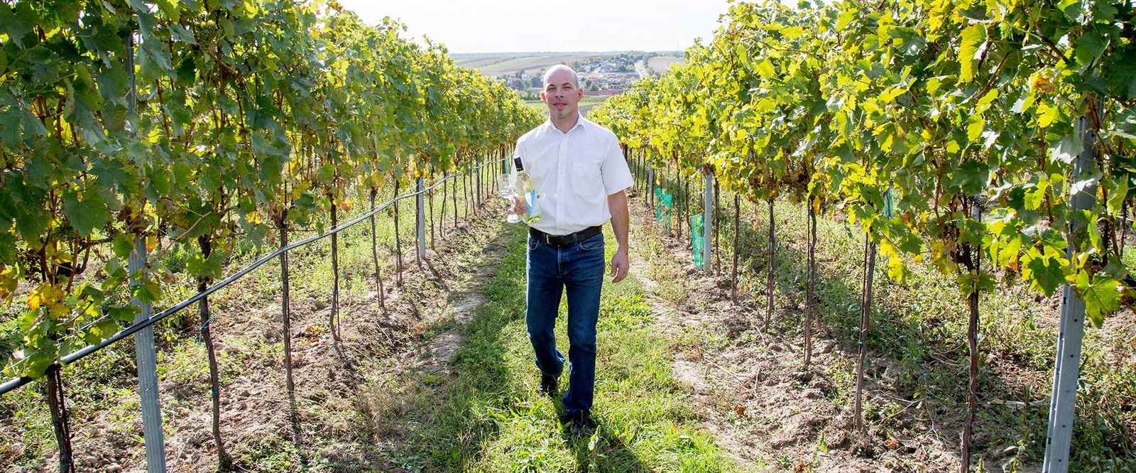 Hochmeister
