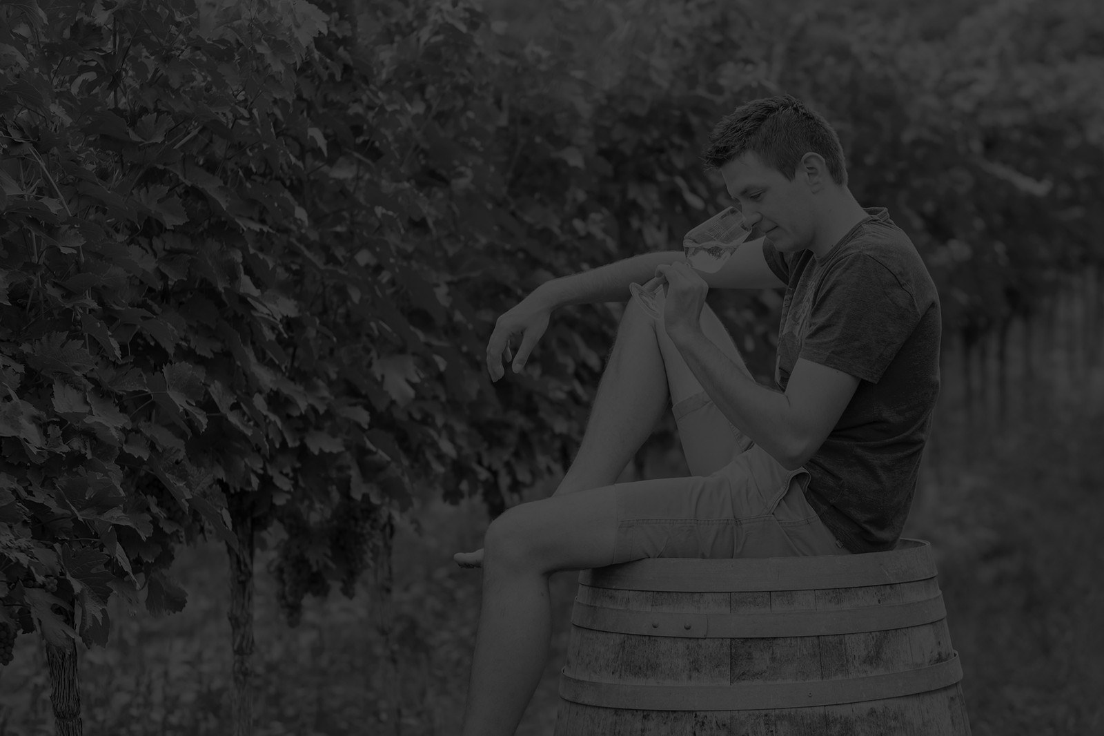 Weingut Ing. Richard Schober
