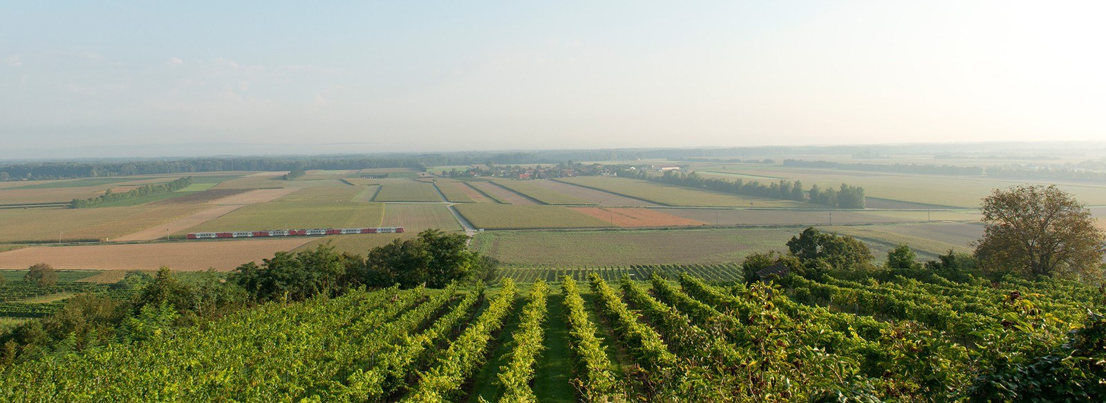 Preisberger
