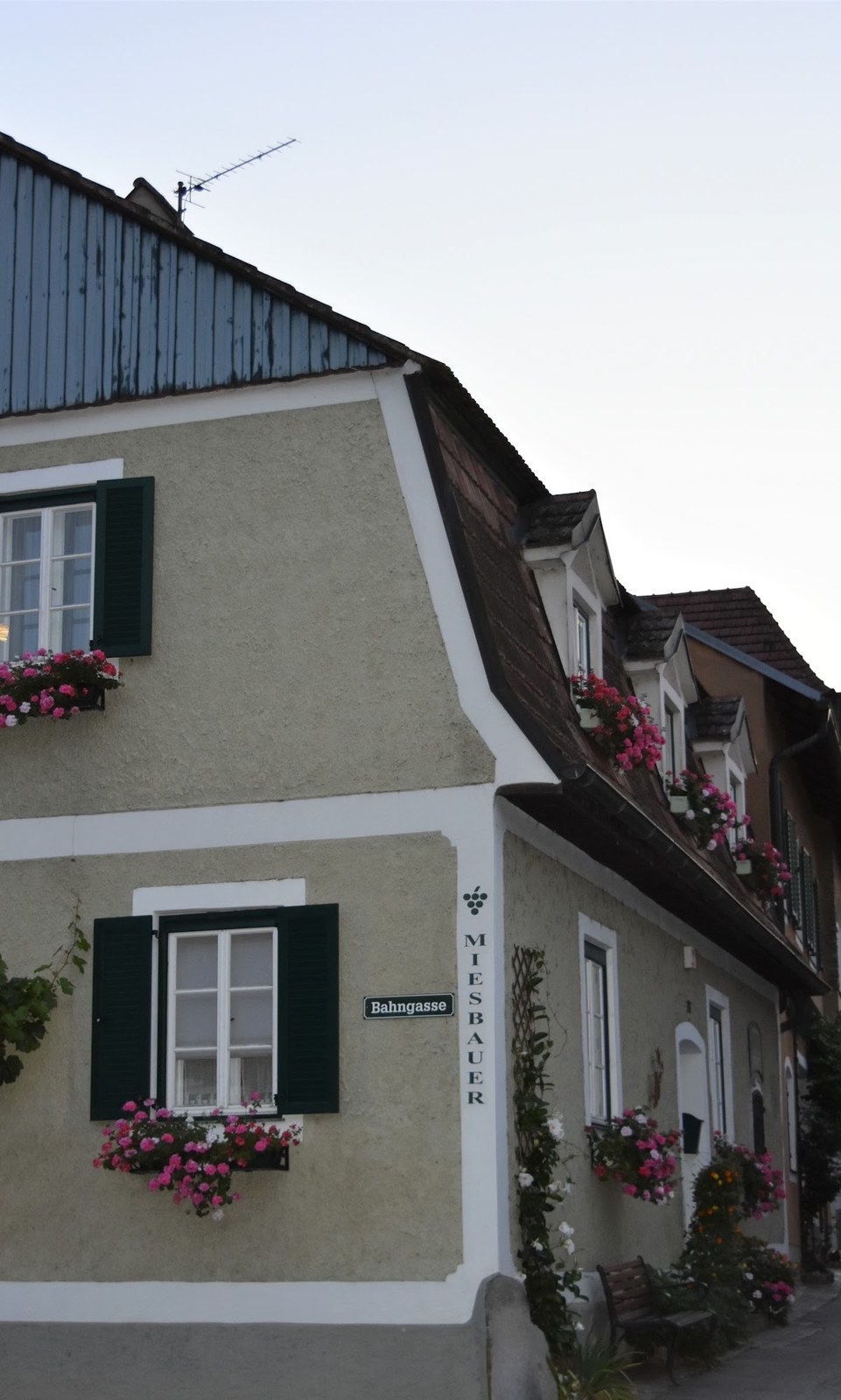 Weingut Miesbauer