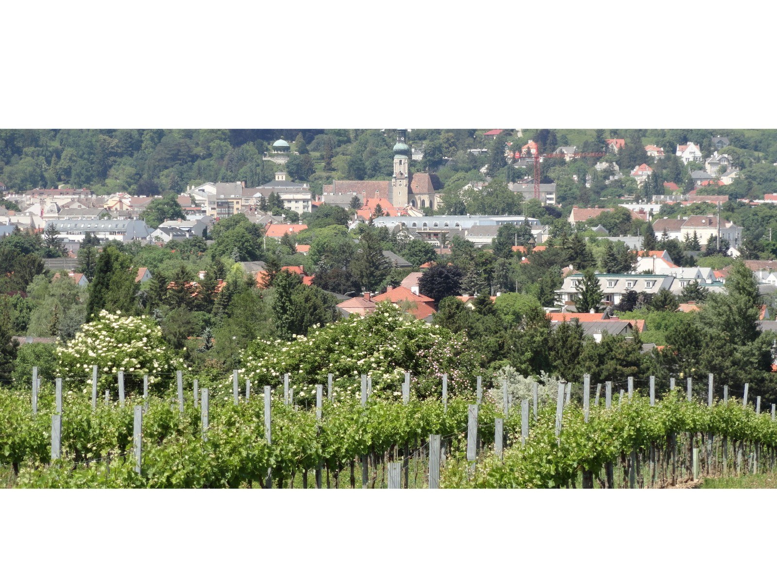 Fischer-Kügerl