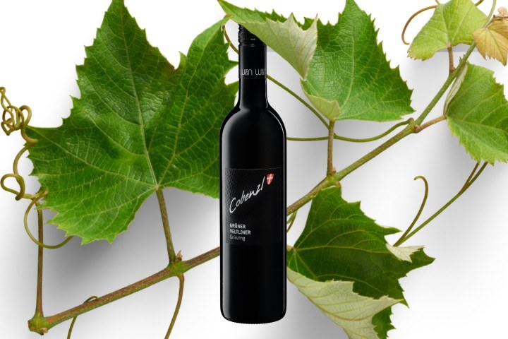 Weingut Wien Cobenzl