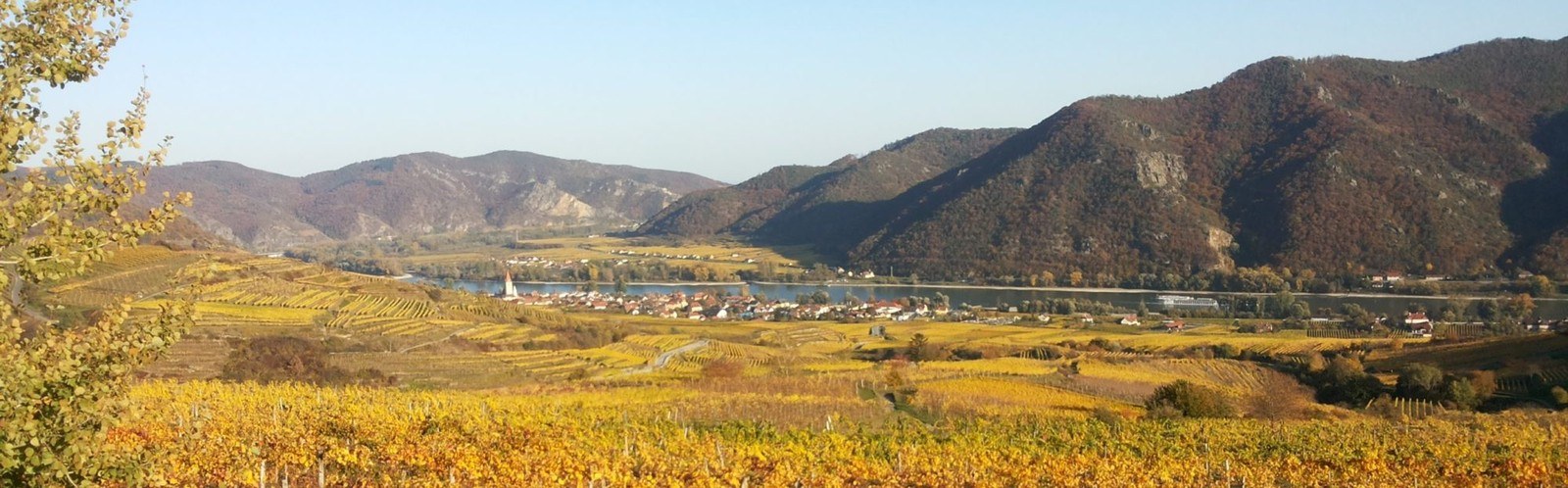 Bäuerl