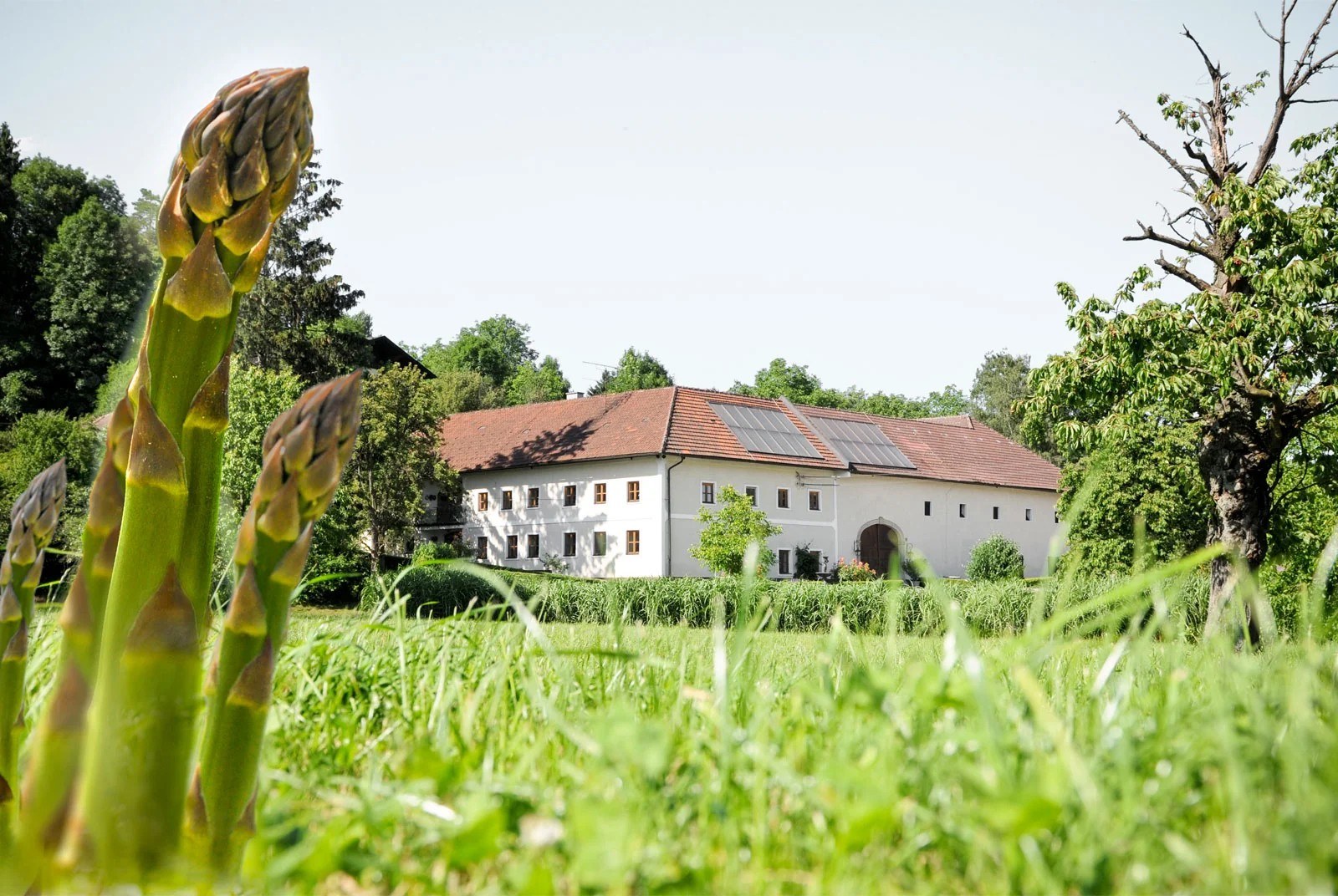 Nussböckgut