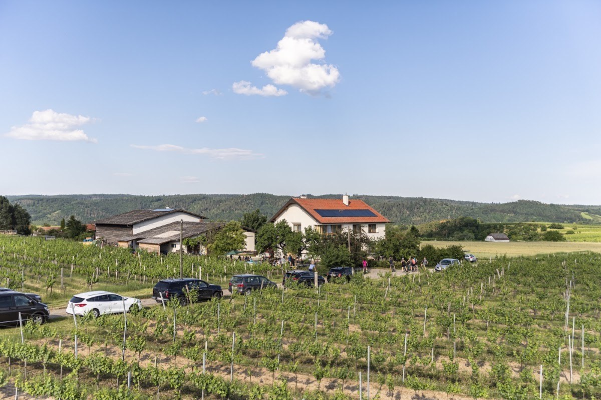 Demeter Weingut Matthias Hager