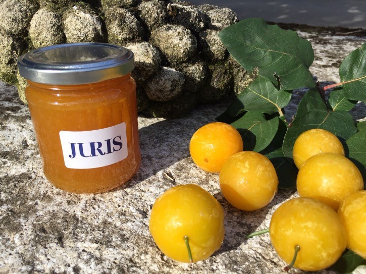 Juris