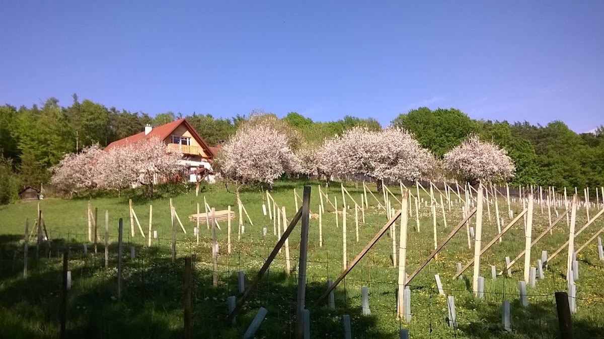 Waldmann