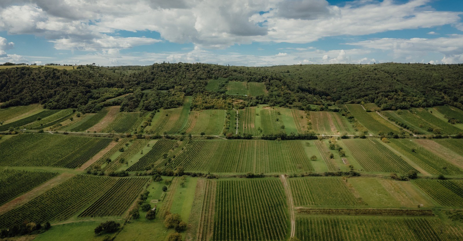 Liegenfeld