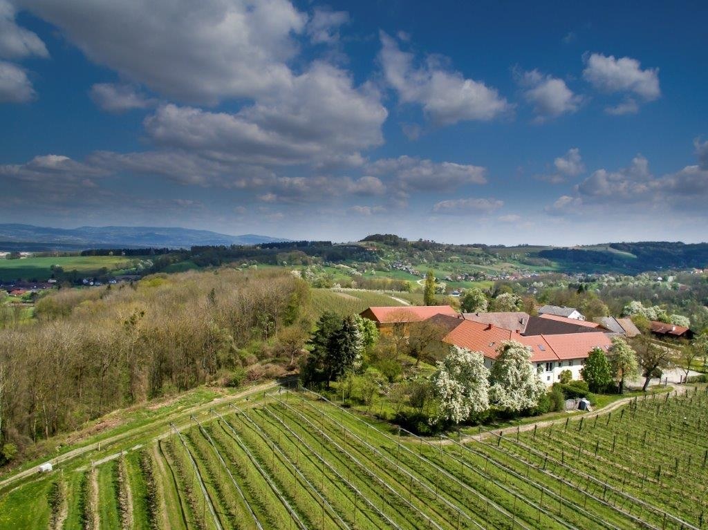 Kronbergerhof