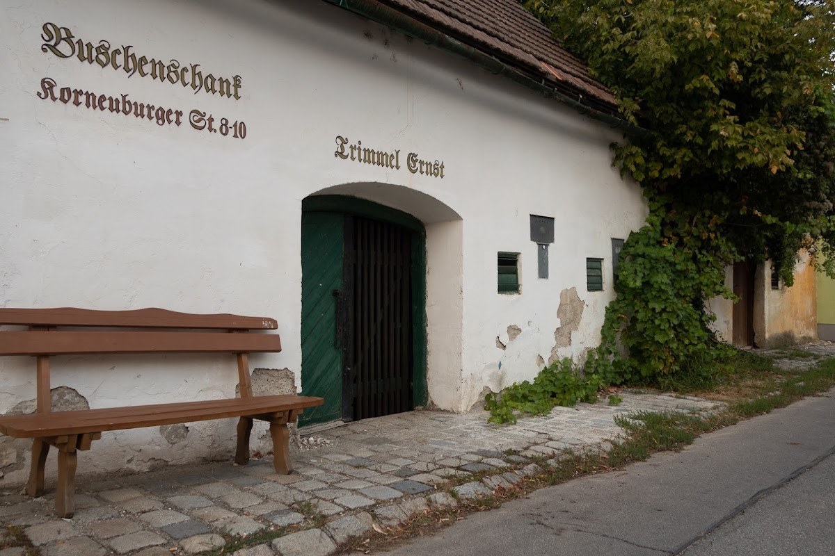 Trimmel Ernst