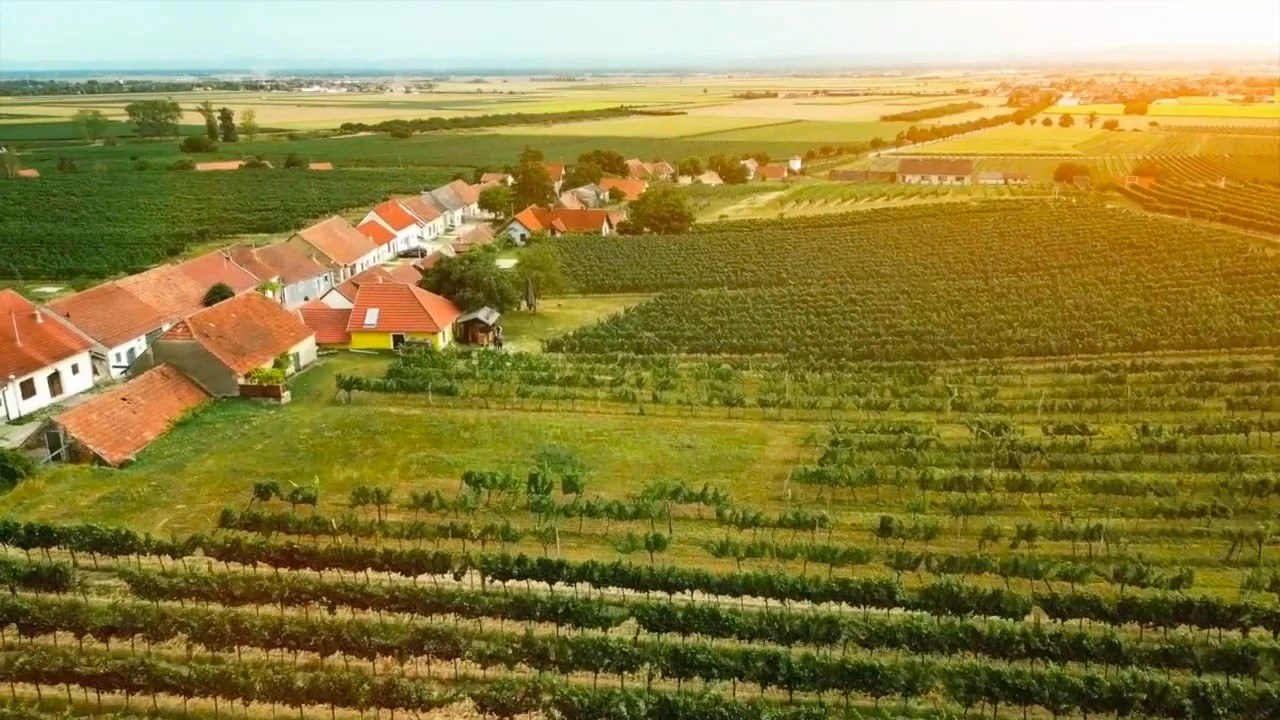 Mörwald GmbH