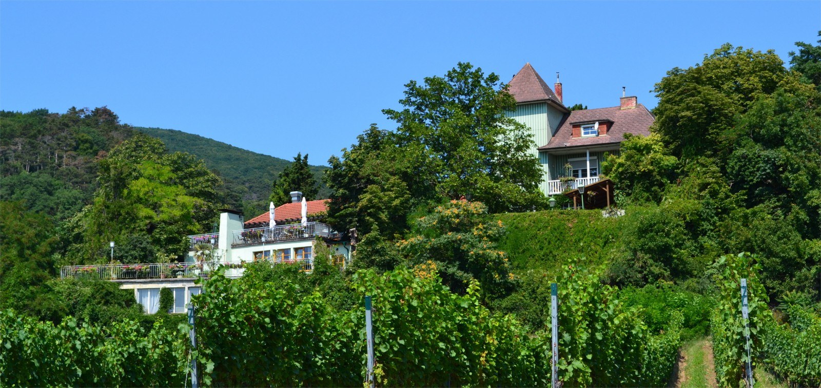 Rotes Mäuerl