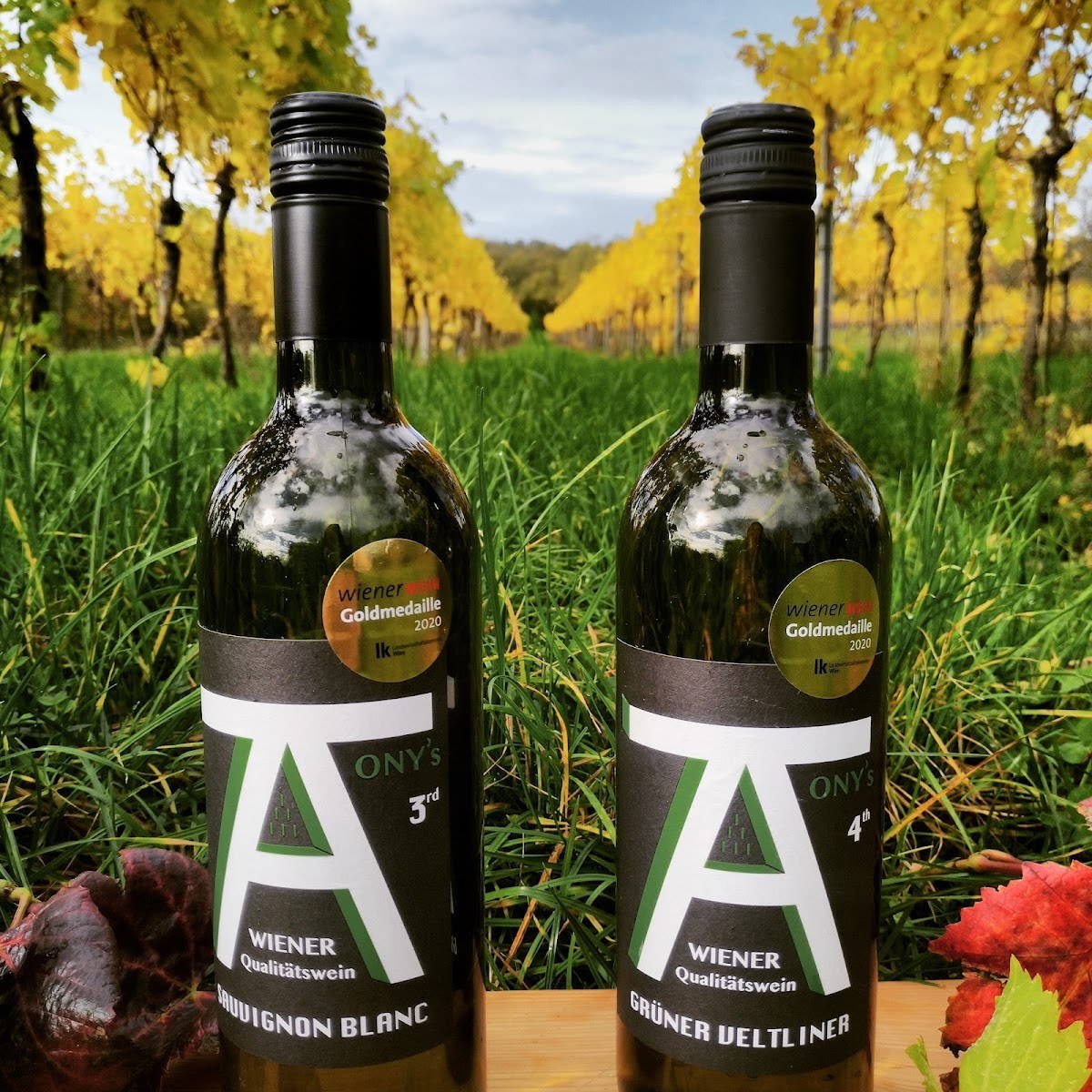 Natural crafts. Tony's Wines