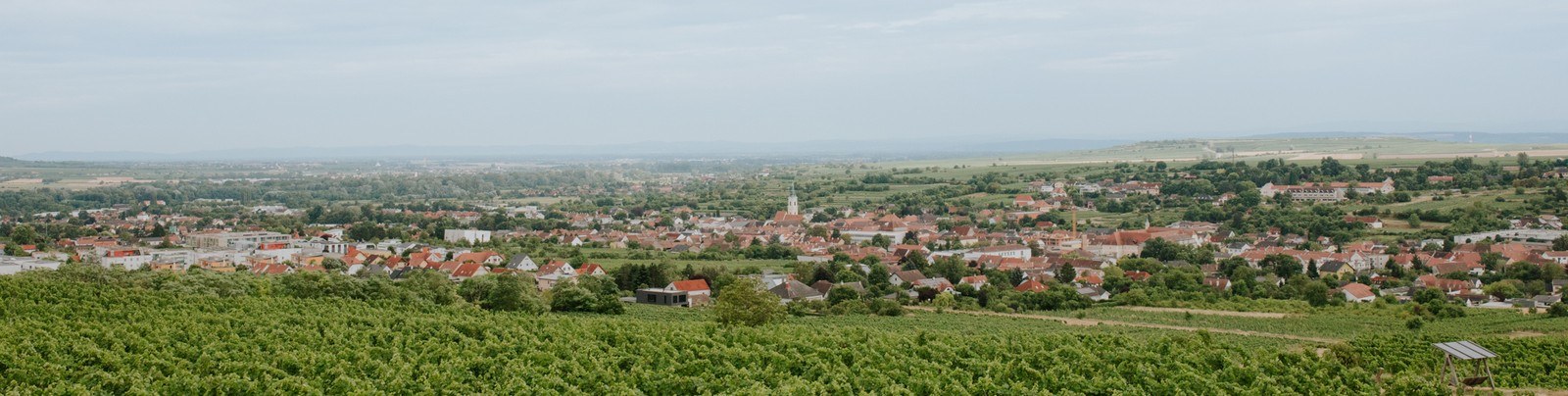Fichtenbauer-Mold