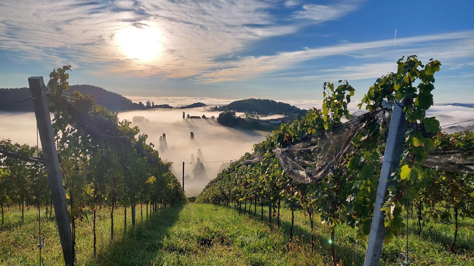 Domaines Kilger Wein GmbH