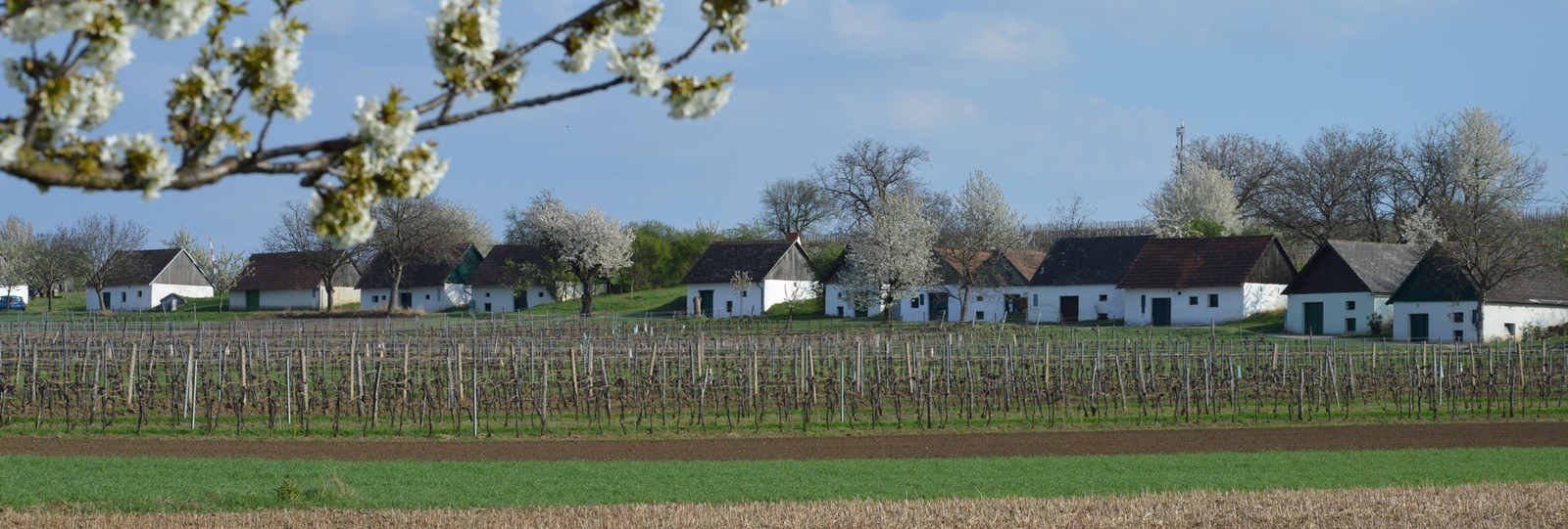Hugl-Wimmer